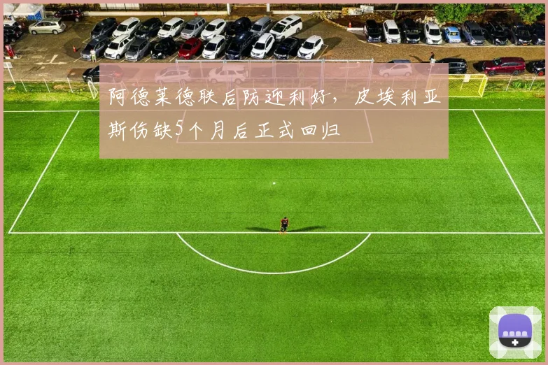 阿德莱德联后防迎利好，皮埃利亚斯伤缺5个月后正式回归