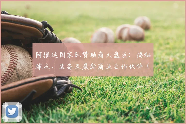 阿根廷国家队赞助商大盘点：揭秘球衣、装备及最新商业合作伙伴（2024版）